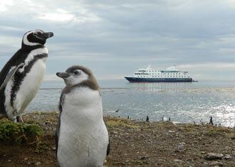 Chile Wildlife Special